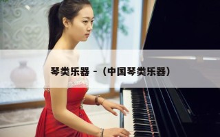 琴类乐器 -（中国琴类乐器）