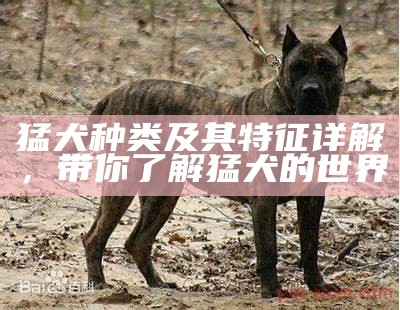 《十大猛犬：你不知道的犬种特性与养护技巧》