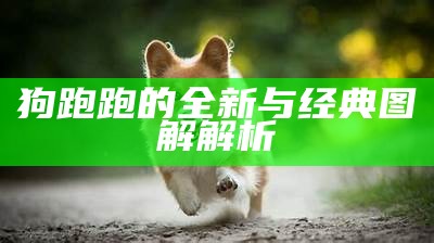 狗跑跑的全新与经典图解解析