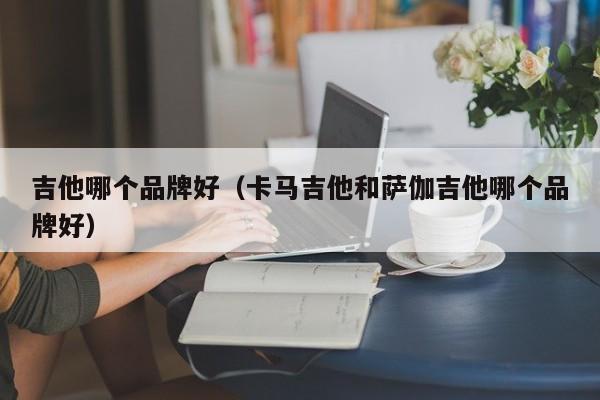 吉他哪个品牌好（卡马吉他和萨伽吉他哪个品牌好） 第1张