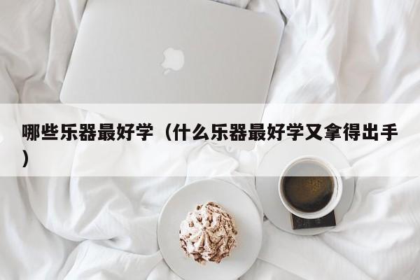 哪些乐器最好学（什么乐器最好学又拿得出手） 第1张