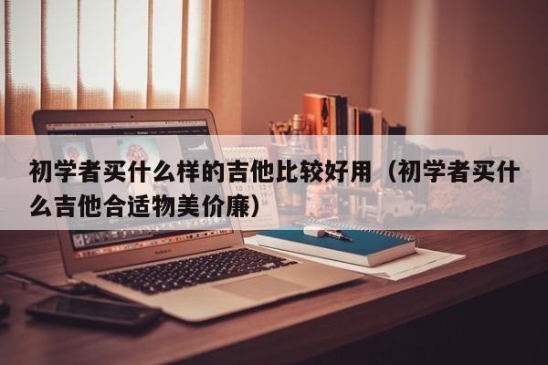 初学者买什么样的吉他比较好用（初学者买什么吉他合适物美价廉） 第1张