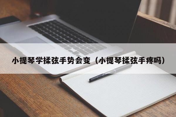 小提琴学揉弦手势会变（小提琴揉弦手疼吗） 第1张