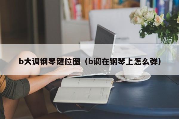 b大调钢琴键位图（b调在钢琴上怎么弹） 第1张