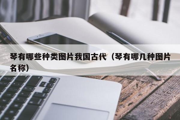 琴有哪些种类图片我国古代（琴有哪几种图片名称） 第1张