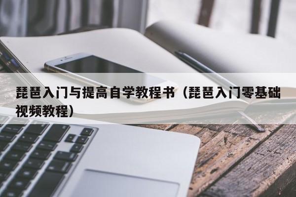 琵琶入门与提高自学教程书（琵琶入门零基础视频教程） 第1张