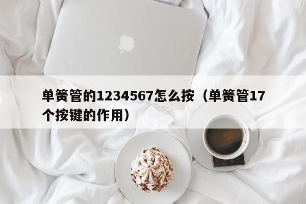 单簧管的1234567怎么按（单簧管17个按键的作用） 第1张