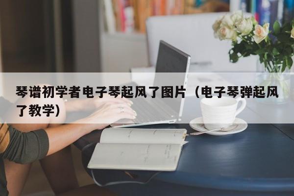 琴谱初学者电子琴起风了图片（电子琴弹起风了教学） 第1张