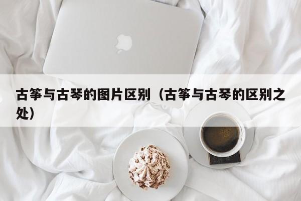 古筝与古琴的图片区别（古筝与古琴的区别之处） 第1张