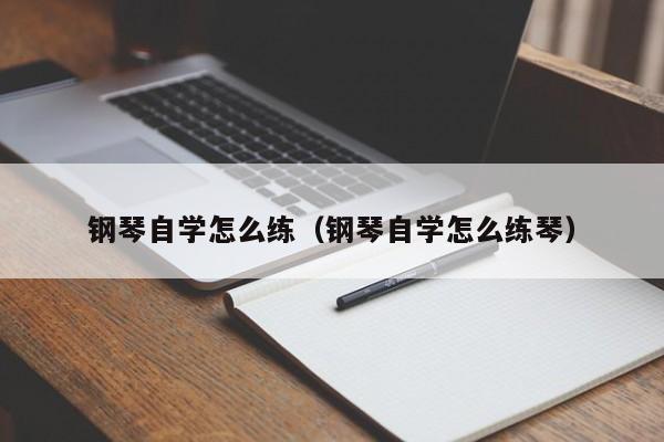 钢琴自学怎么练（钢琴自学怎么练琴） 第1张