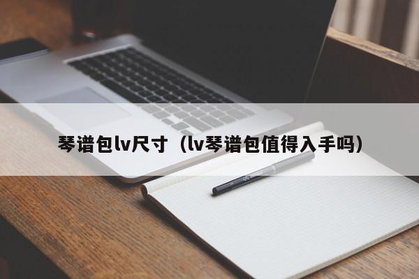 琴谱包lv尺寸（lv琴谱包值得入手吗） 第1张