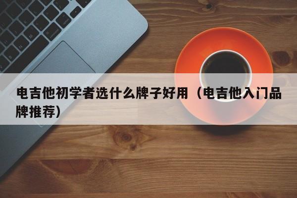 电吉他初学者选什么牌子好用（电吉他入门品牌推荐） 第1张