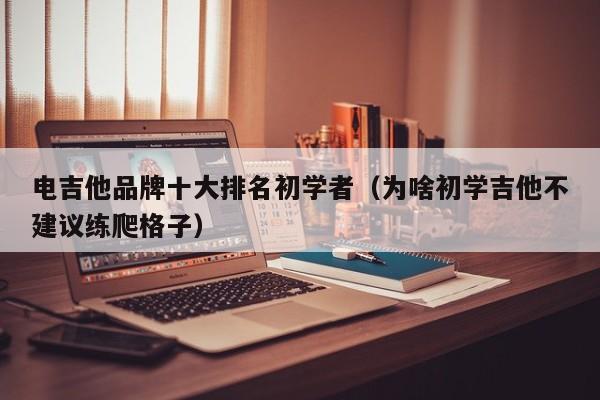 电吉他品牌十大排名初学者（为啥初学吉他不建议练爬格子） 第1张