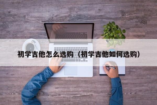 初学吉他怎么选购（初学吉他如何选购） 第1张