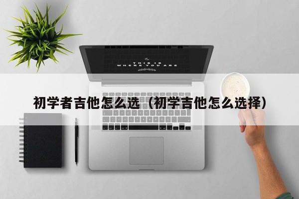 初学者吉他怎么选（初学吉他怎么选择） 第1张