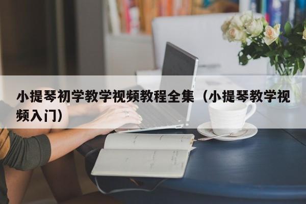 小提琴初学教学视频教程全集（小提琴教学视频入门） 第1张