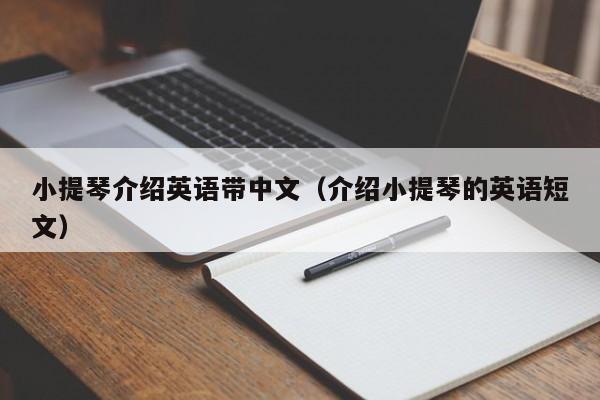 小提琴介绍英语带中文（介绍小提琴的英语短文） 第1张