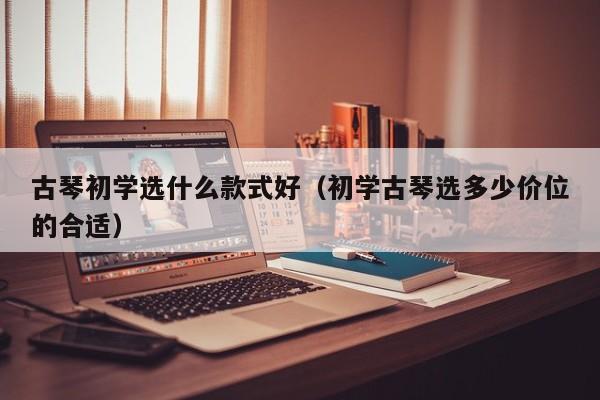 古琴初学选什么款式好（初学古琴选多少价位的合适） 第1张