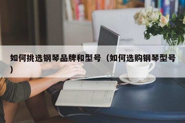 如何挑选钢琴品牌和型号（如何选购钢琴型号） 第1张