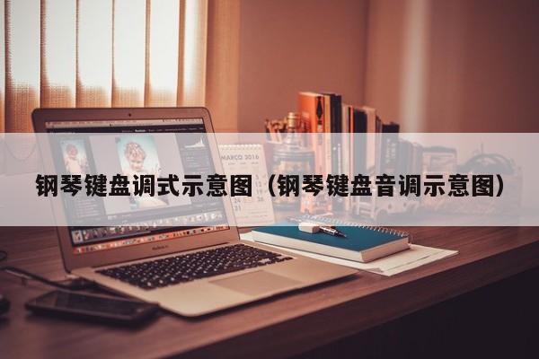 钢琴键盘调式示意图（钢琴键盘音调示意图） 第1张