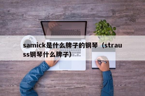 samick是什么牌子的钢琴（strauss钢琴什么牌子） 第1张