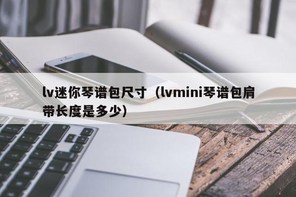 lv迷你琴谱包尺寸（lvmini琴谱包肩带长度是多少） 第1张