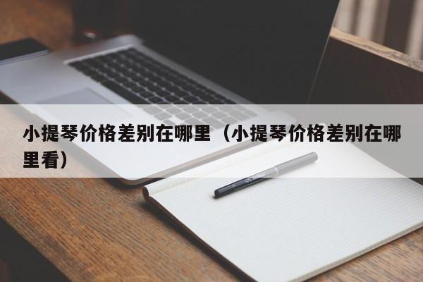 小提琴价格差别在哪里（小提琴价格差别在哪里看） 第1张