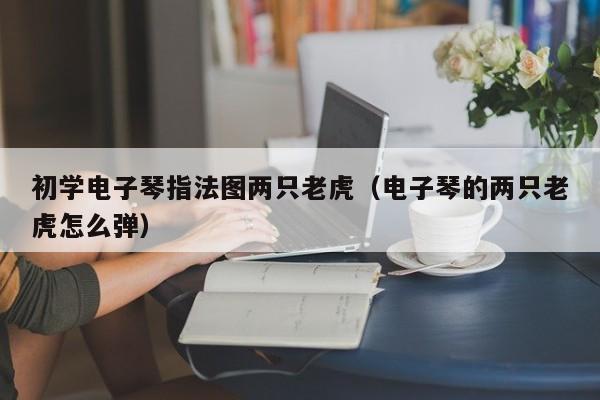 初学电子琴指法图两只老虎（电子琴的两只老虎怎么弹） 第1张