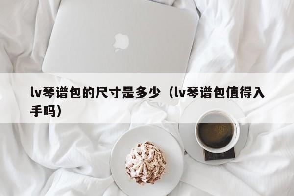 lv琴谱包的尺寸是多少（lv琴谱包值得入手吗） 第1张