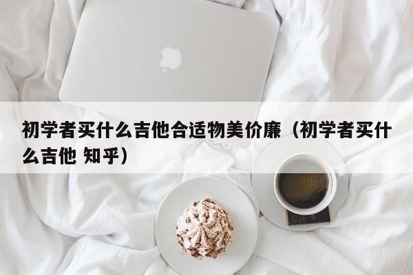 初学者买什么吉他合适物美价廉（初学者买什么吉他 知乎） 第1张