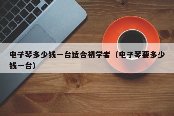 电子琴多少钱一台适合初学者（电子琴要多少钱一台） 第1张