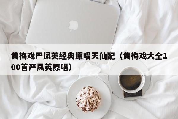 黄梅戏严凤英经典原唱天仙配（黄梅戏大全100首严凤英原唱） 第1张