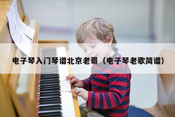 电子琴入门琴谱北京老哥（电子琴老歌简谱） 第1张