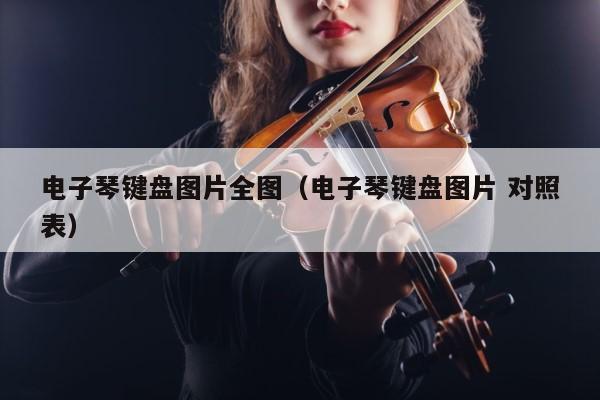 电子琴键盘图片全图（电子琴键盘图片 对照表） 第1张