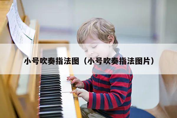 小号吹奏指法图（小号吹奏指法图片） 第1张