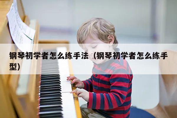 钢琴初学者怎么练手法（钢琴初学者怎么练手型） 第1张