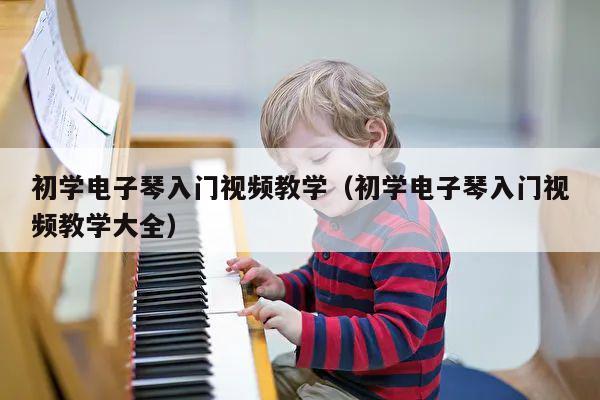 初学电子琴入门视频教学（初学电子琴入门视频教学大全） 第1张