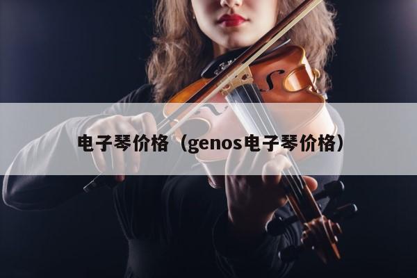 电子琴价格（genos电子琴价格） 第1张