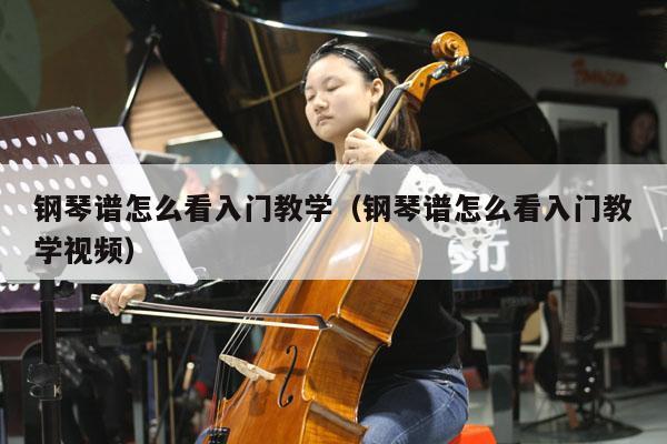 钢琴谱怎么看入门教学（钢琴谱怎么看入门教学视频） 第1张