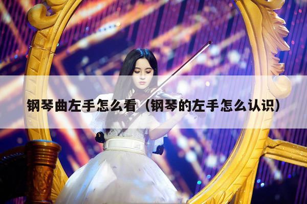 钢琴曲左手怎么看（钢琴的左手怎么认识） 第1张