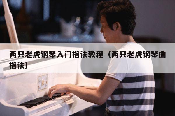 两只老虎钢琴入门指法教程（两只老虎钢琴曲指法） 第1张