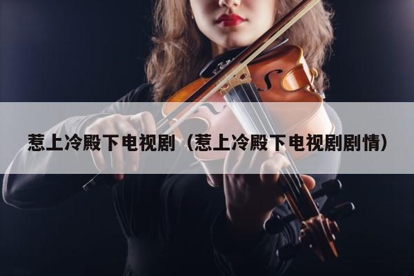 惹上冷殿下电视剧（惹上冷殿下电视剧剧情） 第1张