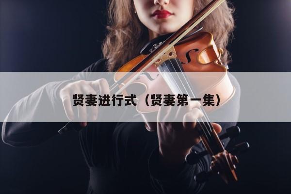 贤妻进行式（贤妻第一集） 第1张