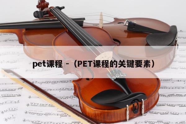 pet课程 -（PET课程的关键要素） 第1张