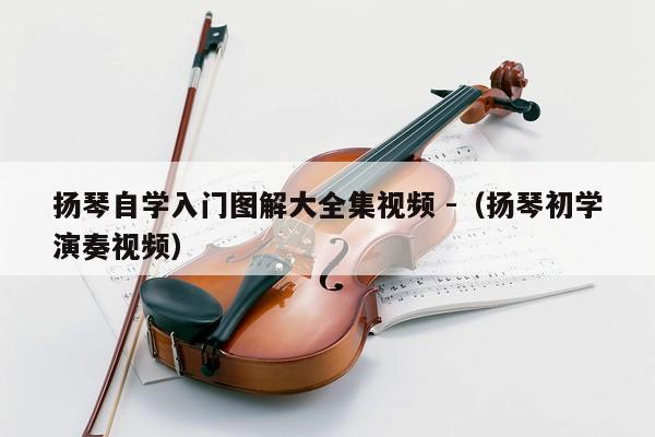 扬琴自学入门图解大全集视频 -（扬琴初学演奏视频） 第1张