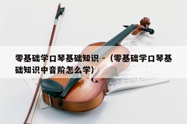 零基础学口琴基础知识 -（零基础学口琴基础知识中音阶怎么学） 第1张