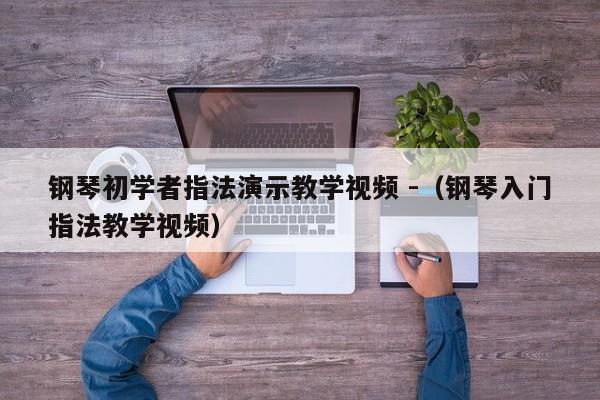 钢琴初学者指法演示教学视频 -（钢琴入门指法教学视频） 第1张