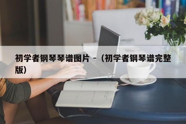 初学者钢琴琴谱图片 -（初学者钢琴谱完整版） 第1张