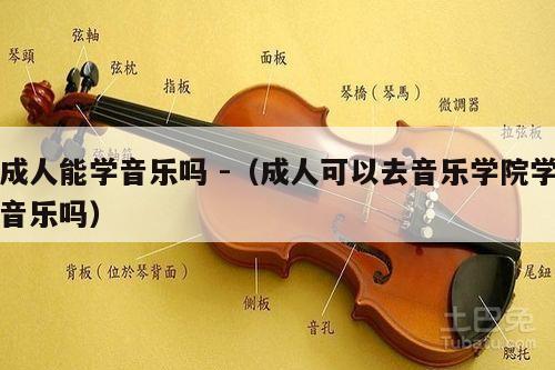 成人能学音乐吗 -（成人可以去音乐学院学音乐吗） 第1张