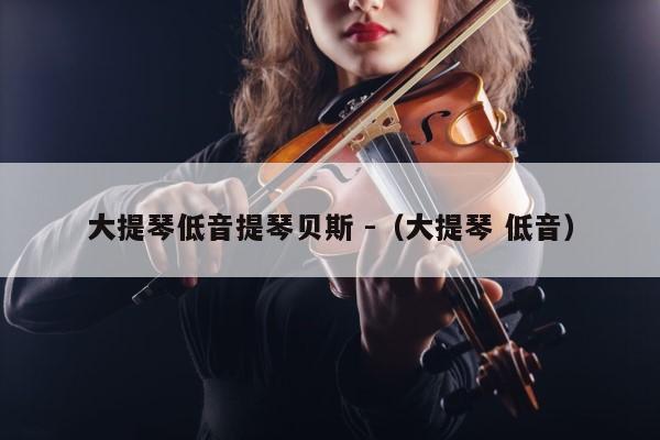 大提琴低音提琴贝斯 -（大提琴 低音） 第1张